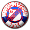 Sokol Cechovice