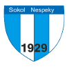 Sokol Nespeky